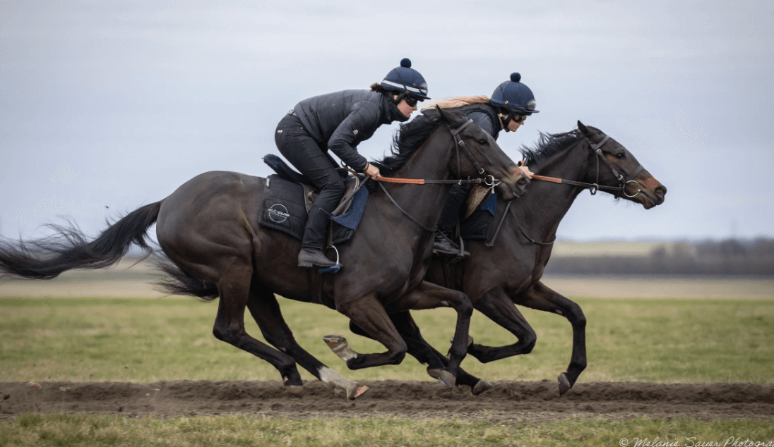 Horse Racing and the Role of Trainers and Jockeys
