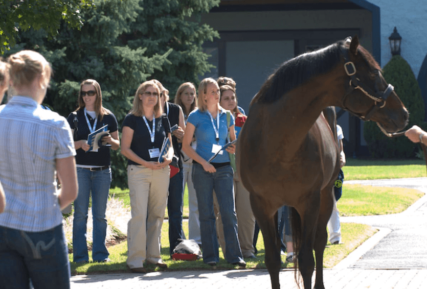 Horse Racing and the Role of Veterinarians