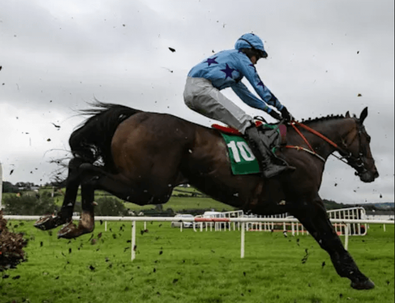 Horse Racing and the Role of Veterinarians in the Sport