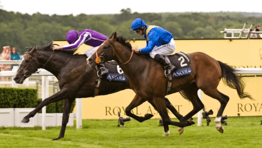 Horse Racing and the Science of Speed