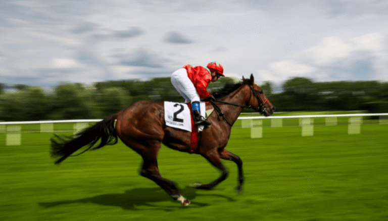 Horse Racing and the Science of Speed and Agility