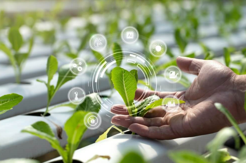 The Future of Tech Innovation in Global Agriculture